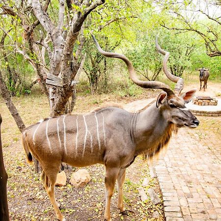 Adventure Bush House Villa Марлот Парк Екстериор снимка